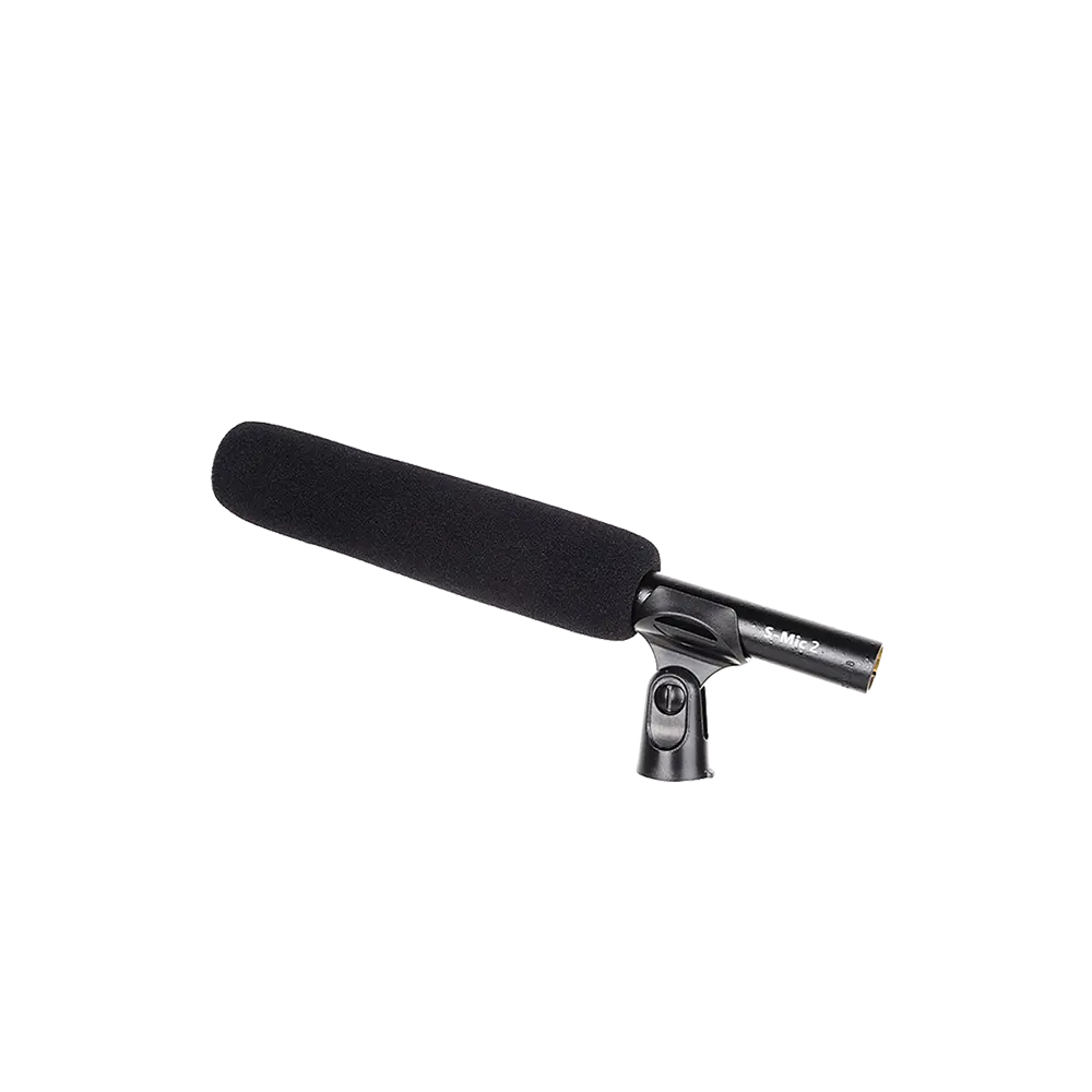 Deity S-Mic 2
