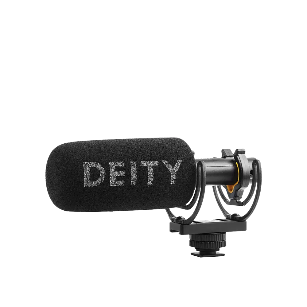 V-Mic D3 4