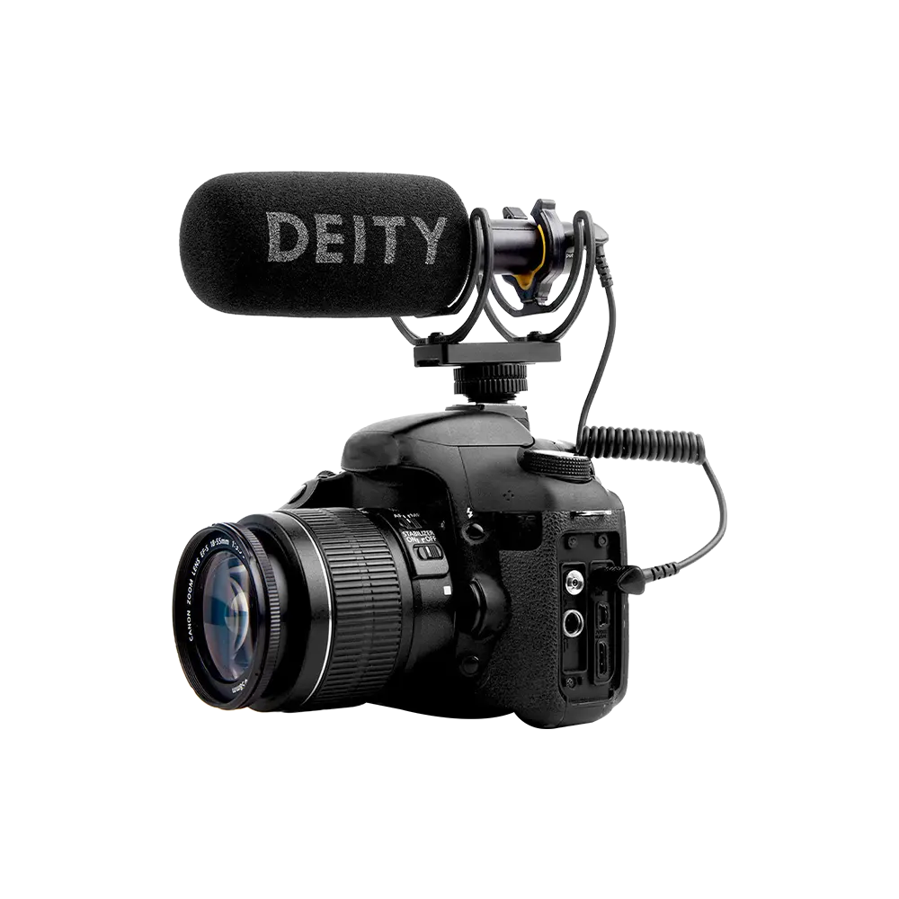 V-Mic D3 6